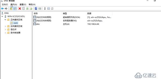 Windows Server 部署DNS服务