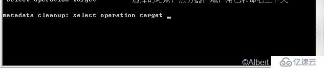 Active Directory FSMO角色应用