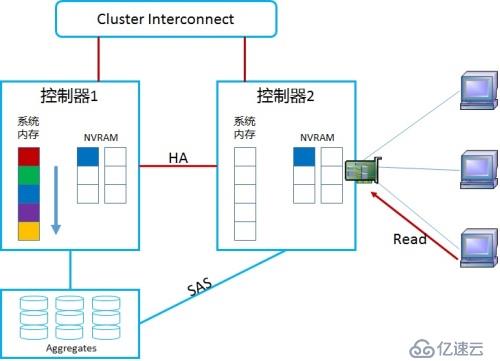 NetApp DataONTAP 集群模式 学习笔记2