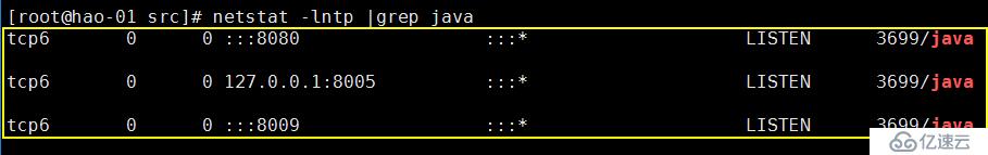 16.1 Tomcat介绍；16.2 安装jdk；16.3 安装Tomcat