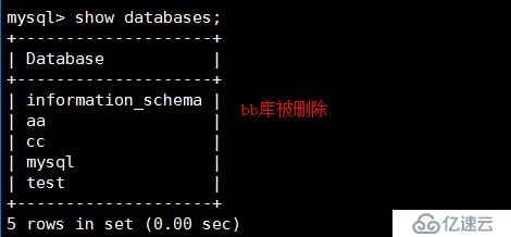 MySQL基礎(chǔ)（命令）