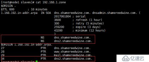 如何在DNS上安装bind