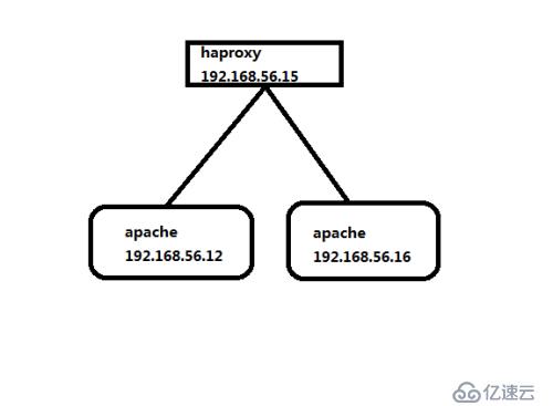 haproxy 的安装