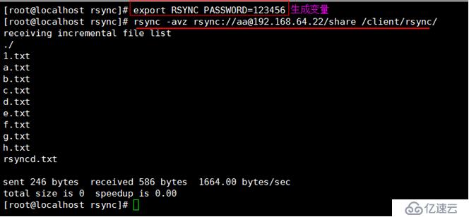 文件备份同步rsync