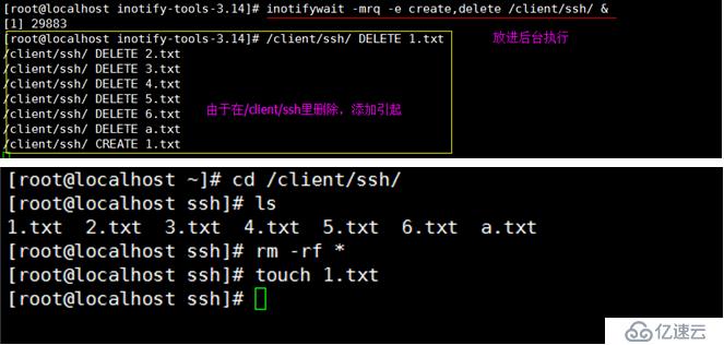 文件备份同步rsync