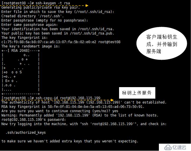 文件备份同步rsync