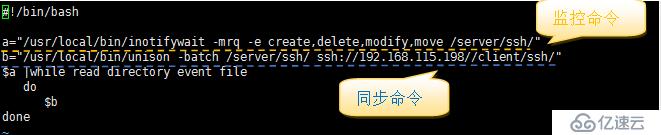 文件备份同步rsync