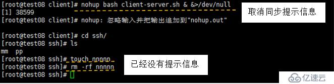 文件备份同步rsync