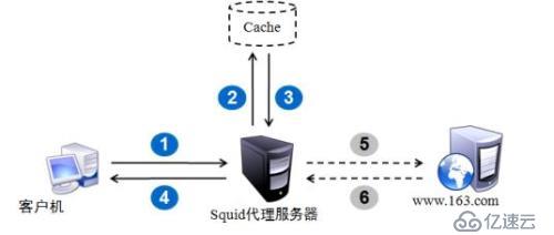 nsquid代理服务器详细配置及介绍