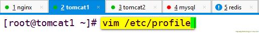 圖文并茂超詳細(xì)搭建redis緩存服務(wù)器(nginx+tomcat+redis+mysql實(shí)現(xiàn)session會(huì)話(huà)共享) 