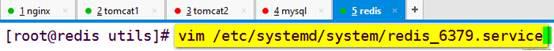 圖文并茂超詳細(xì)搭建redis緩存服務(wù)器(nginx+tomcat+redis+mysql實(shí)現(xiàn)session會(huì)話(huà)共享) 