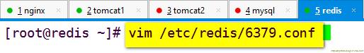 圖文并茂超詳細(xì)搭建redis緩存服務(wù)器(nginx+tomcat+redis+mysql實(shí)現(xiàn)session會(huì)話(huà)共享) 