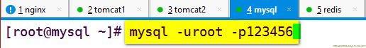 圖文并茂超詳細(xì)搭建redis緩存服務(wù)器(nginx+tomcat+redis+mysql實(shí)現(xiàn)session會(huì)話(huà)共享) 