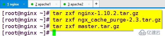 nginx反向代理缓存服务器构建