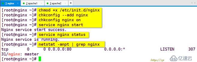nginx反向代理缓存服务器构建