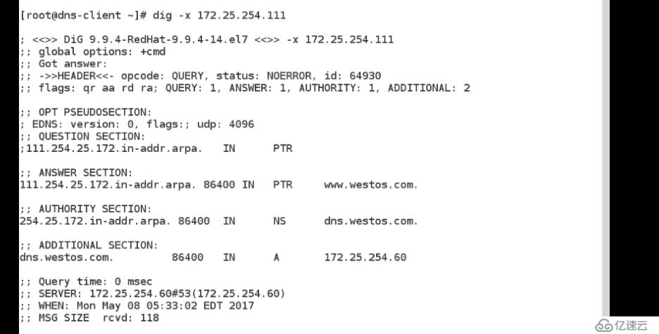 3-unit3 高速缓存DNS