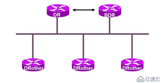 OSPF网络入门级路由协议超详细介绍（一）