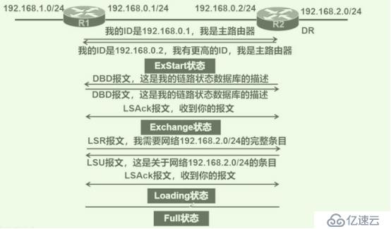 OSPF网络入门级路由协议超详细介绍（一）