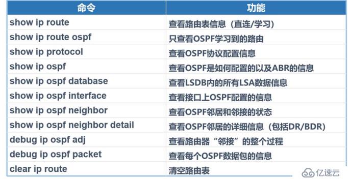 OSPF网络入门级路由协议超详细介绍（一）