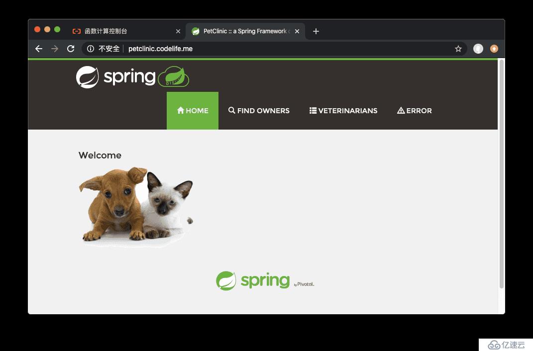 如何将Spring PetClinic部署到函数计算平台