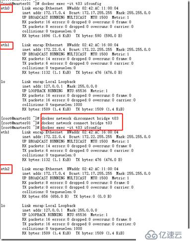 Docker 网络之bridge模式