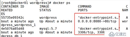 docker三剑客之docker-compose和搭建wordpress的博客