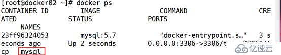 docker部署LNMP环境