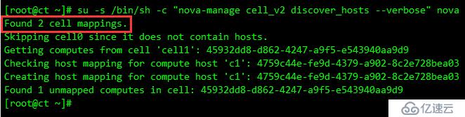 OpenStack Train版双节点安装（八）发现计算节点和验证nova的安装