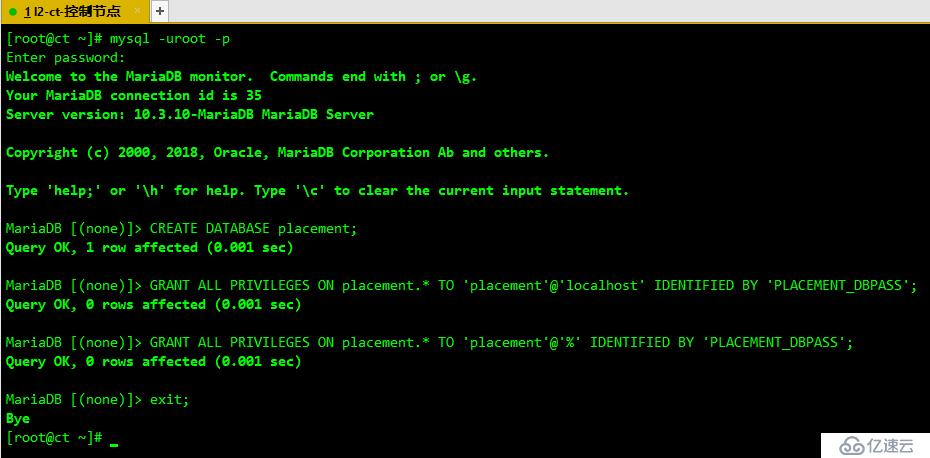 OpenStack Train版双节点安装（五）安装放置服务placement