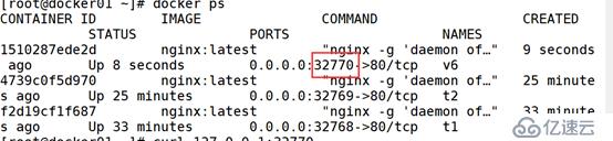 Docker数据持久化和容器与容器的数据共享