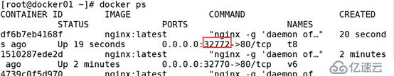 Docker数据持久化和容器与容器的数据共享