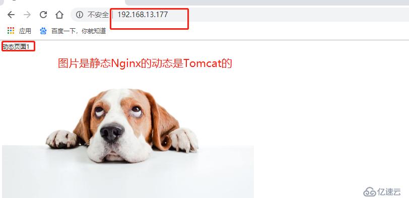 Tomcat+nginx群集和动静分离