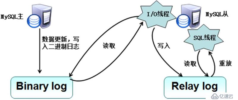 MySQL主从复制类型、过程和读写分离