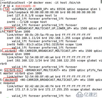 Docker的网络介绍