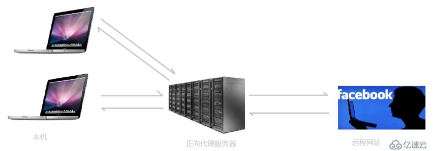 Nginx+lamp构建动静分离项目