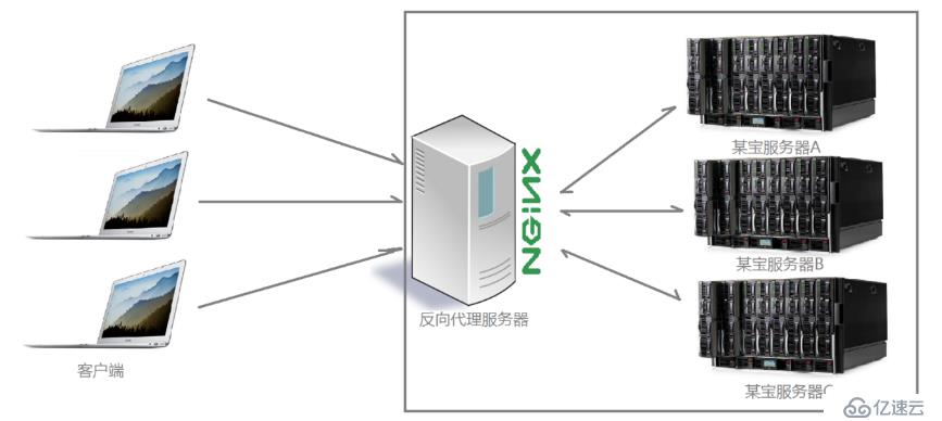 Nginx+lamp构建动静分离项目