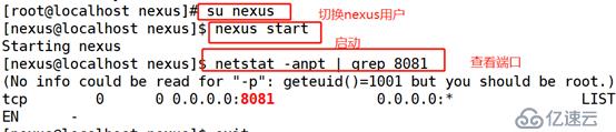 maven+nexus的使用