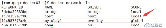 Docker网络之部署跨主机网络overlay