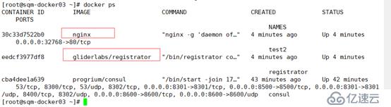Consul+Registrator+Docker实现服务发现（nginx反向代理）
