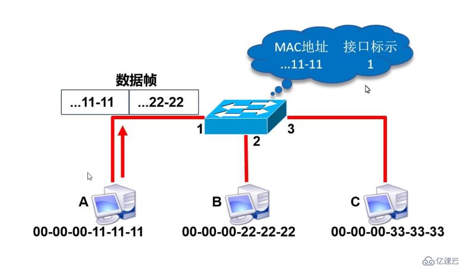 数据链路层详解