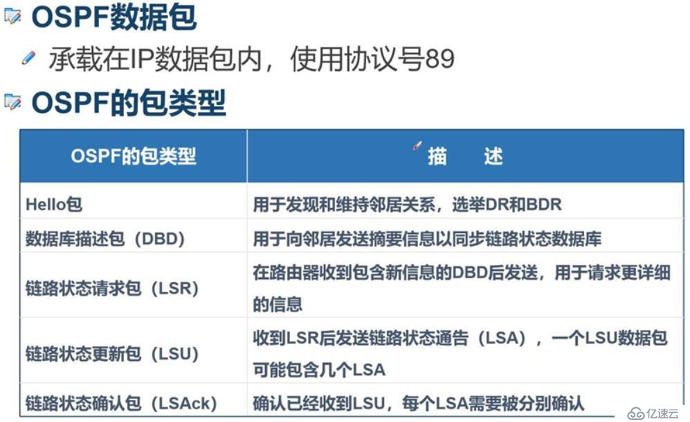 OSPF路由协议