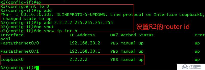 OSPF路由协议