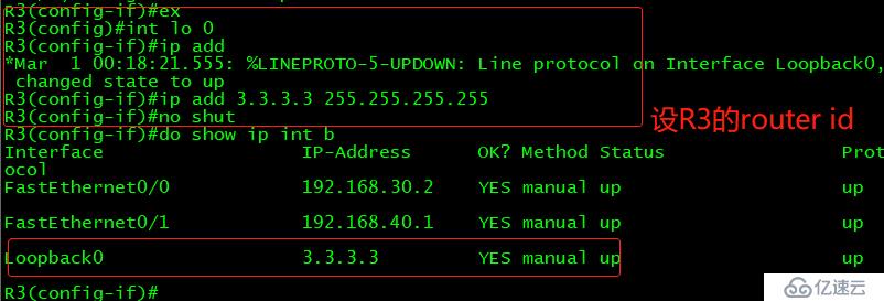 OSPF路由协议