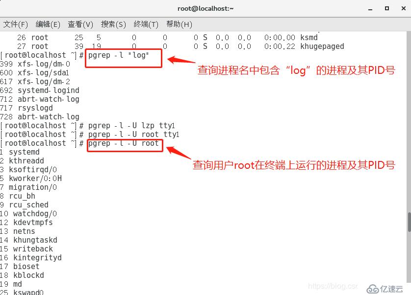 程序与进程的关系