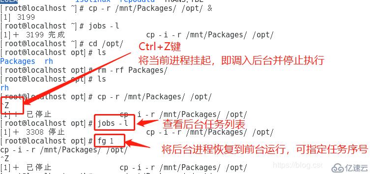 程序与进程的关系