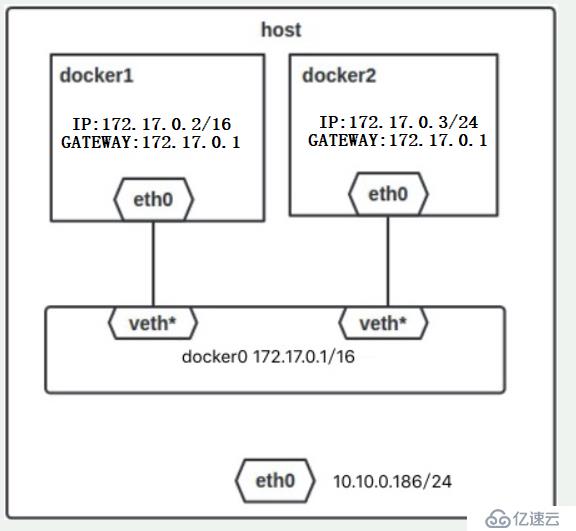 Docker之网络管理（容器间通信的配置）