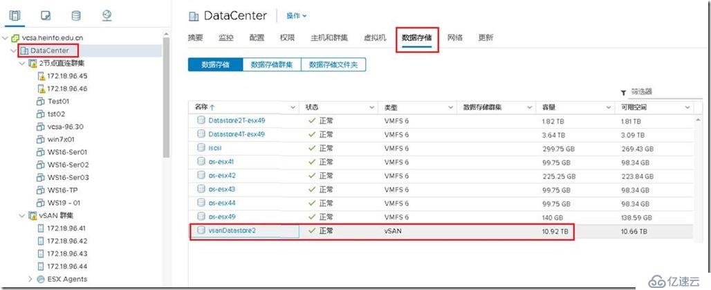 vSAN群集只显示一个vSAN存储