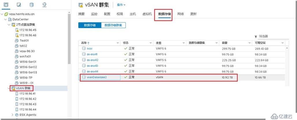 vSAN群集只显示一个vSAN存储