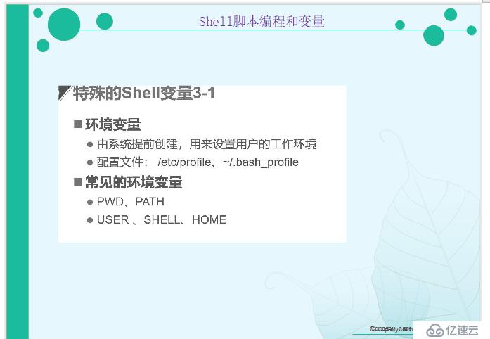 Shell脚本中编程和变量的示例分析