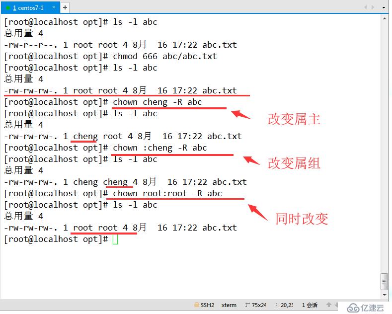 Linux账号和权限管理（详细+图解）